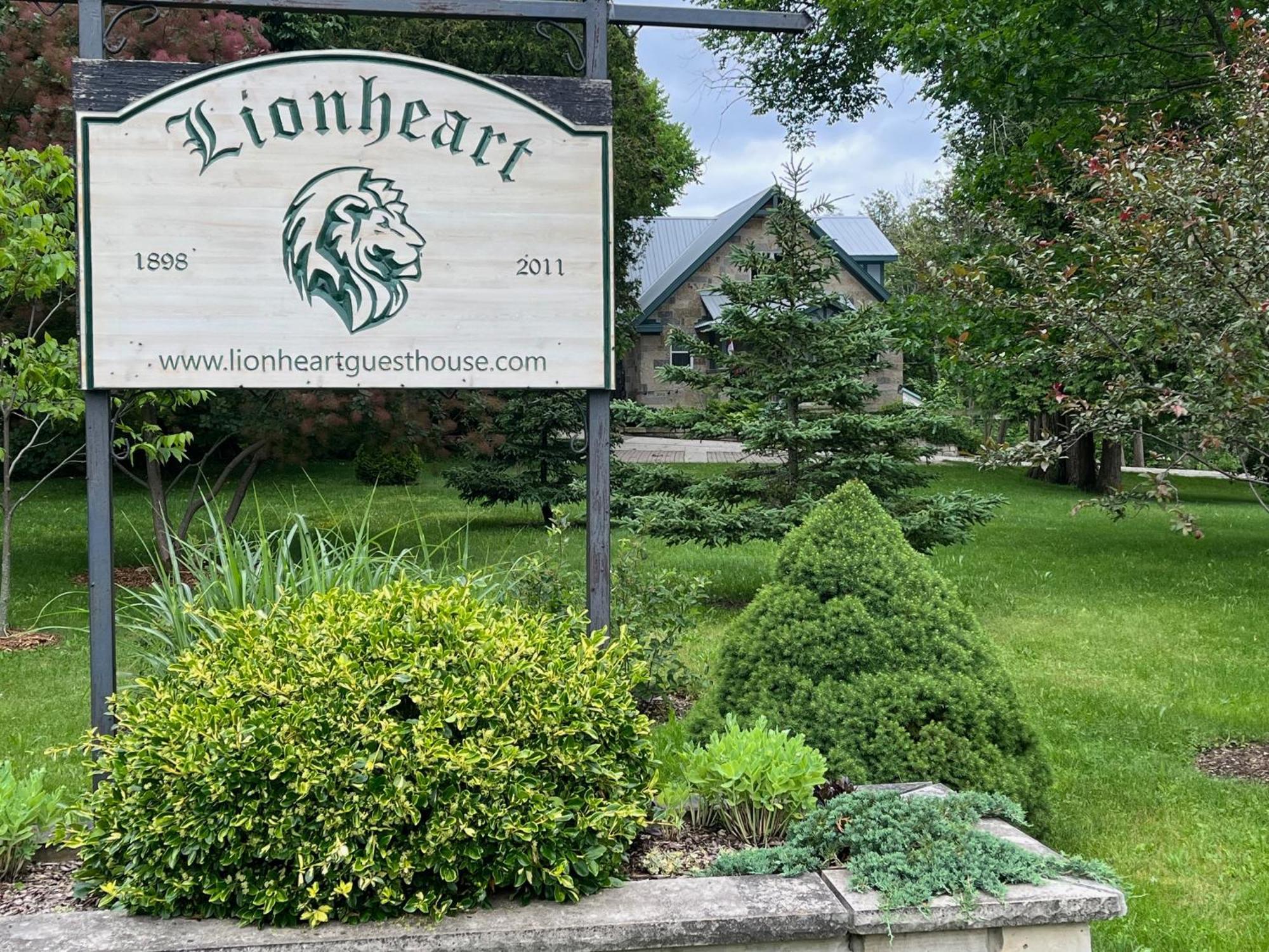 Lionheart Guest House Lions Head Exteriér fotografie